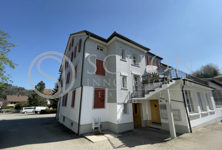 Frisch renovierte 2-Zimmer Loft-Wohnung